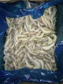 海水优质虾每 斤40个