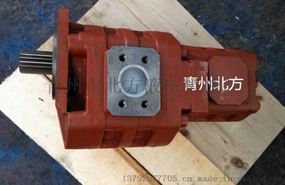 青州北方供应双联泵型号GPC4-63/20-157R