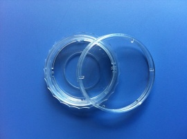 玻底直径20mm共聚焦培养皿/玻底培养皿 (WHB-40-20)