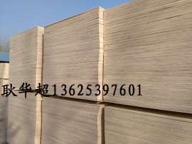 供应杨木整芯胶合板 多层板 厂家直销质量保证