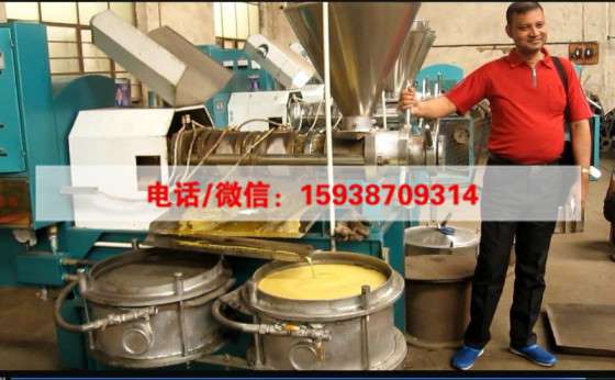 江苏徐州125大型榨油机设备多少钱