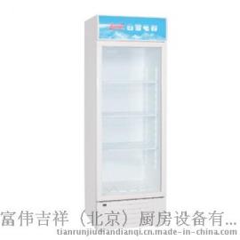 白雪SC-280F展示柜 无氟立式保鲜冷藏柜 白雪冰箱
